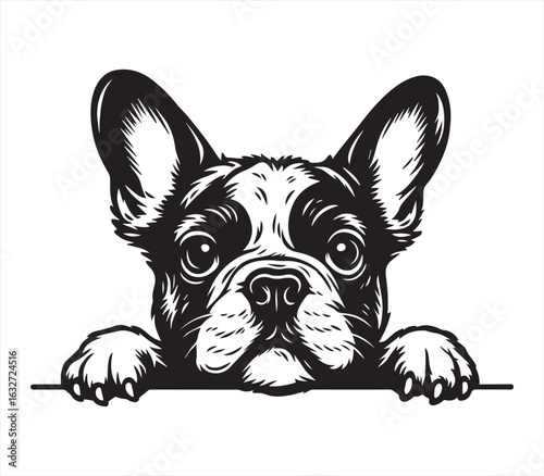 French Bulldog Peeking Over Edge | Black and White Cute Dog Line Art Vector