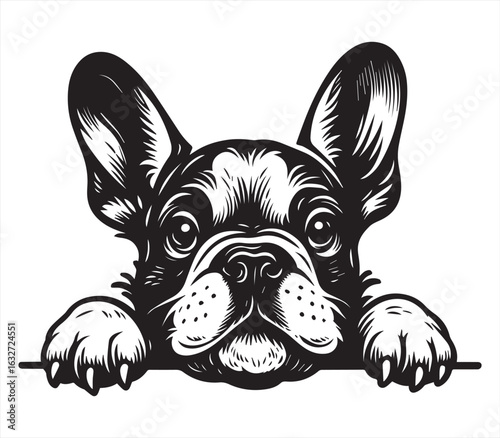 French Bulldog Peeking Over Edge | Black and White Cute Dog Line Art Vector