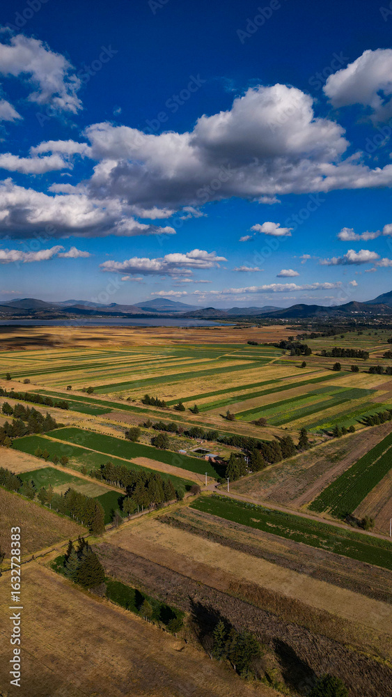Naklejka premium paisaje de tocuaro, Michoacán