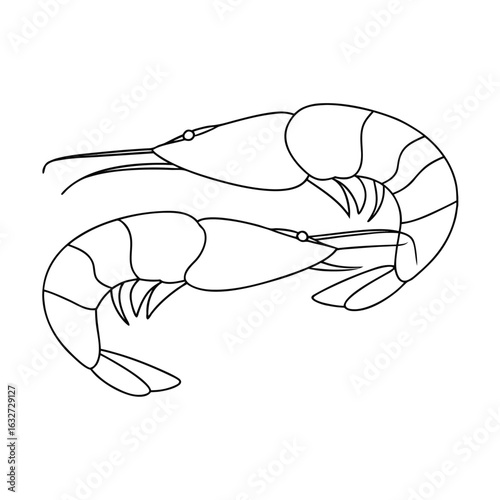 Two grilled prawns outline shrimp seafood