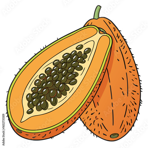 vector illustration of jackfruit