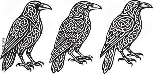 Three Celtic Knotwork Ravens: Intricate Black and White Tattoo Designs, Mystical Bird Illustrations.