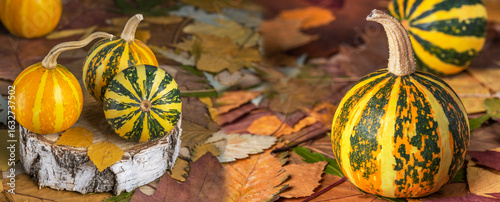 striped pumpkins on a background of dry autumn leaves