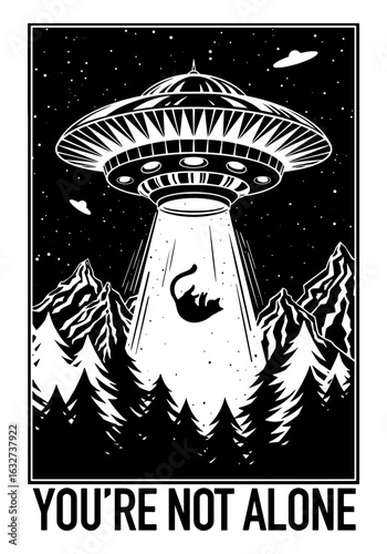 You are not alone. UFO abducting a cat