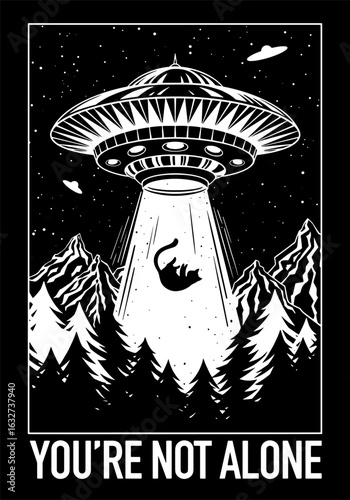 You are not alone. UFO abducting a cat