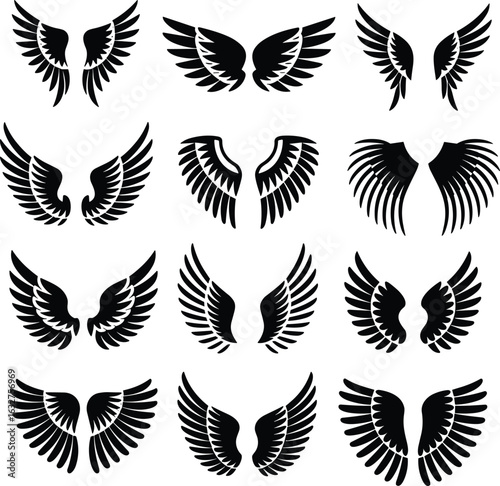 Wing silhouette vector set, twelve symmetrical pairs, feather style variation, tattoo design element, logo graphic, fantasy illustration, black artwork