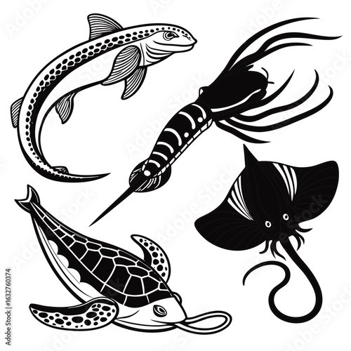Illustration of a spotted fish, a mantis shrimp, a stingray, and a turtle in black and white style on transparent background
