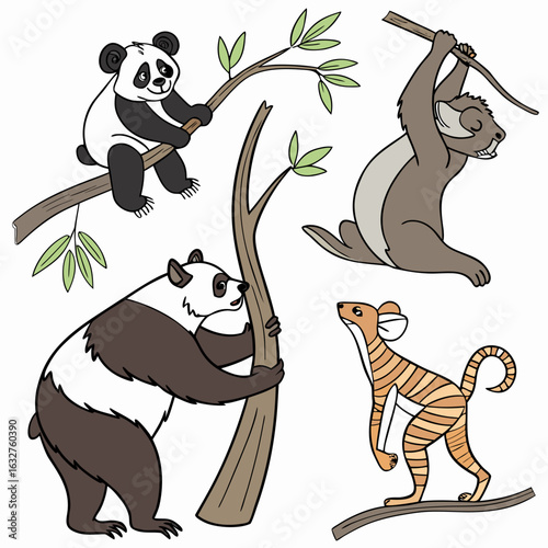 Illustration depicting two pandas, a koala, and a striped possum in a cartoon style on a white background on transparent background