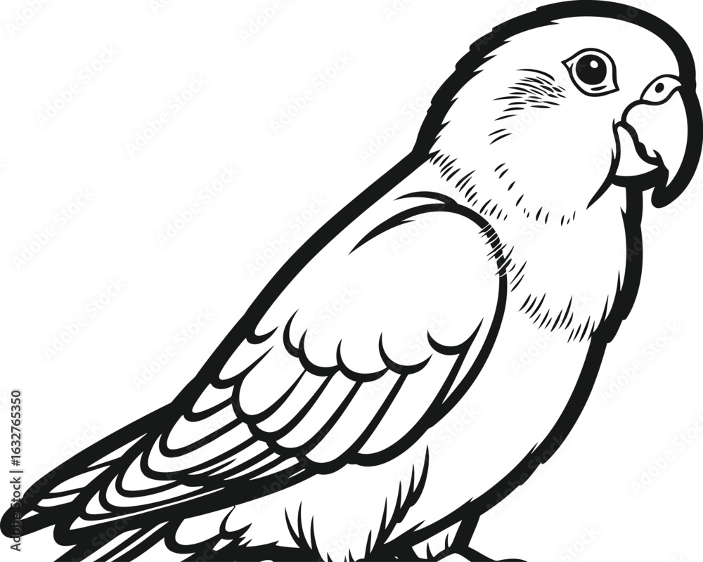 Obraz premium Parrot outline vector drawing bird illustration design art