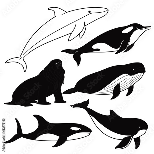 Illustration featuring a dolphin outline, orcas, a whale, and a sea lion in black and white style image