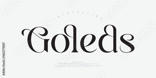 Elegant alphabet letters serif font logo and number. Classic Luxury Minimal Wedding logos. Typography fonts regular uppercase, lowercase. vector illustration
