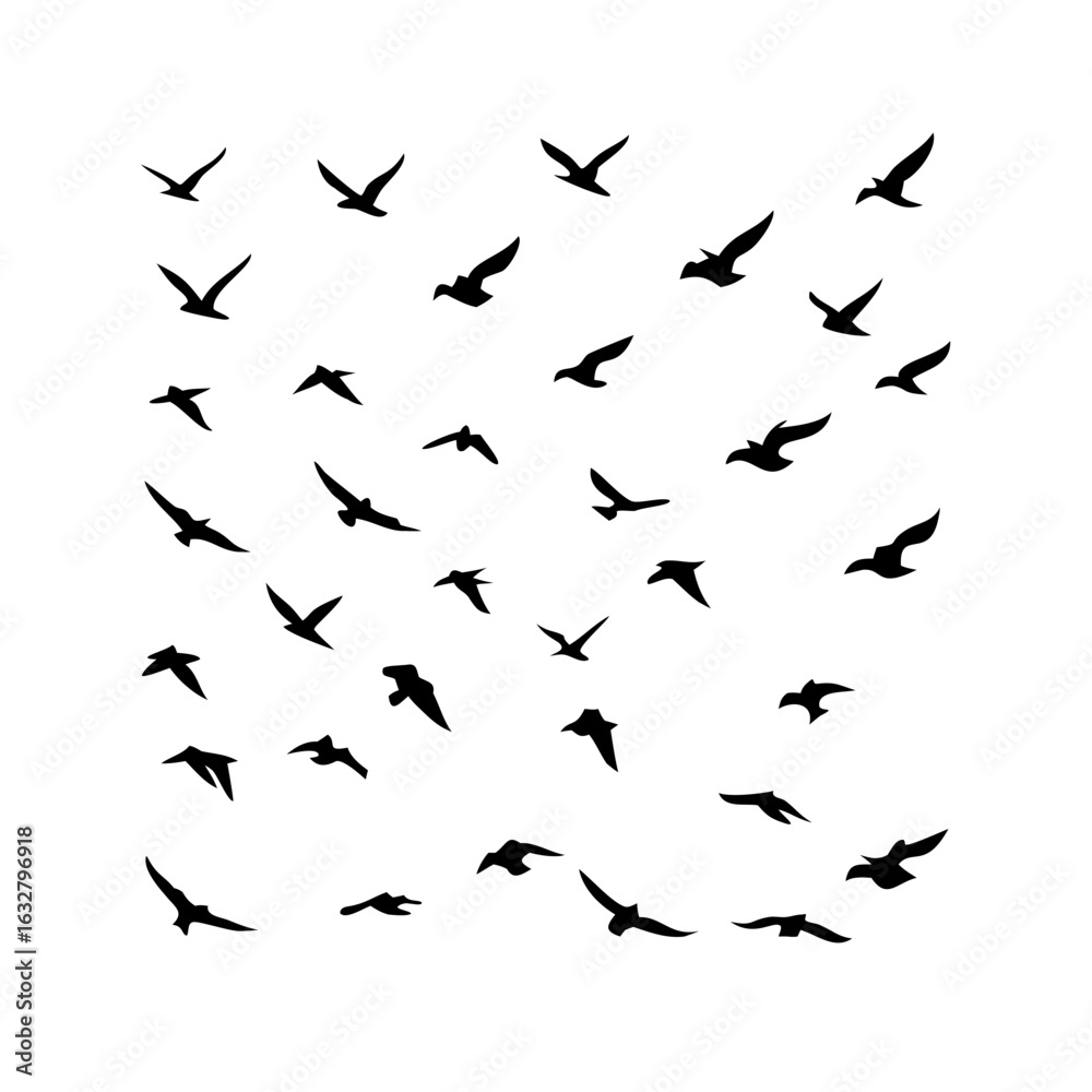 Fototapeta premium 25 Birds: Nature's Colorful Avian Wonders