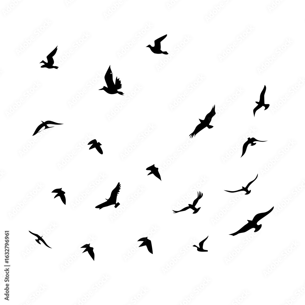 Naklejka premium 25 Birds: Nature's Colorful Avian Wonders