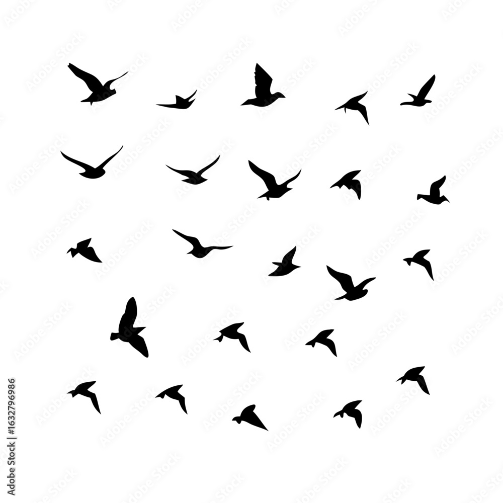 Naklejka premium 25 Birds: Nature's Colorful Avian Wonders&nbsp;