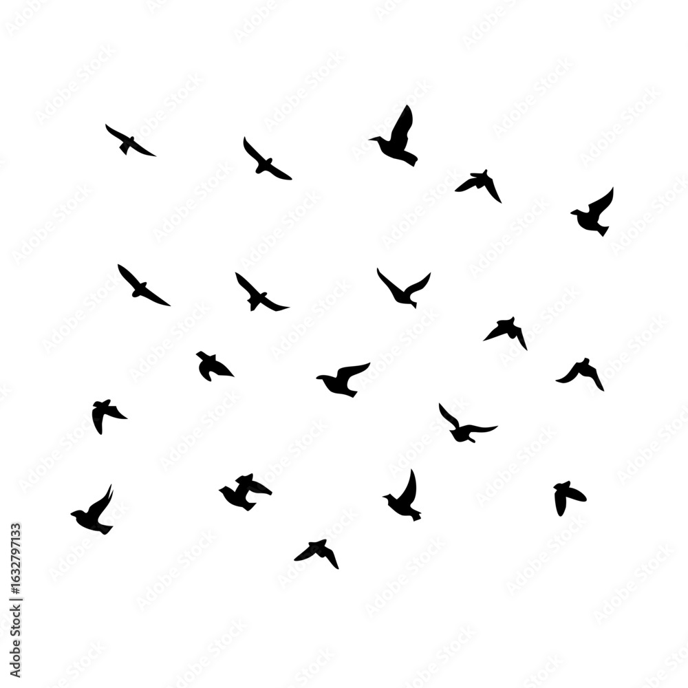 Naklejka premium 25 Birds: Nature's Colorful Avian Wonders