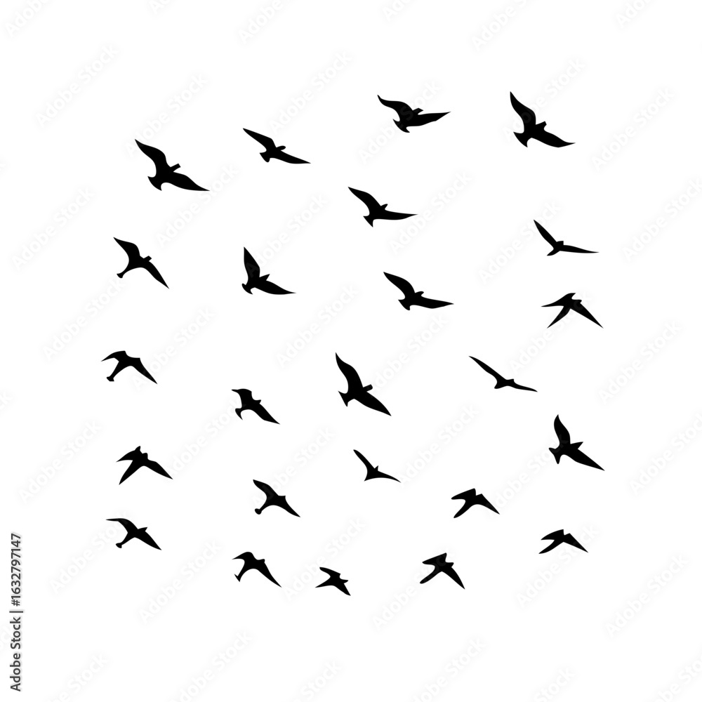 Fototapeta premium 25 Birds: Nature's Colorful Avian Wonders