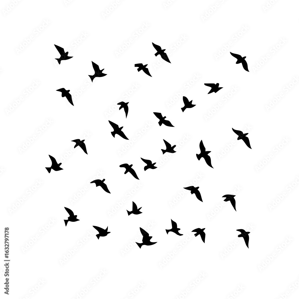 25 Birds: Nature's Colorful Avian Wonders 25 Birds: Nature's Colorful Avian Wonders