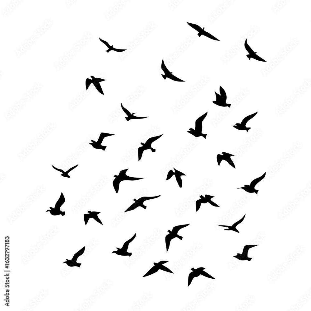 Naklejka premium 25 Birds: Nature's Colorful Avian Wonders