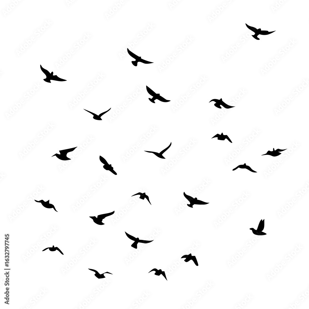 25 Birds: Nature's Colorful Avian Wonders 