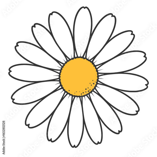 White Coneflower Botanical Illustration – Transparent PNG Floral Art