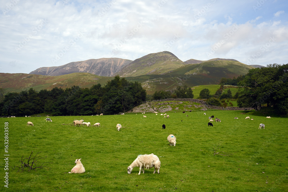 Fototapeta premium Buttermere