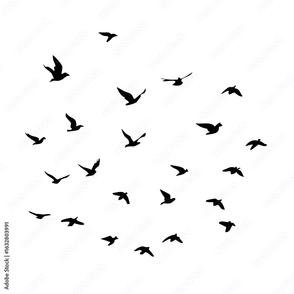 25 Birds: Nature's Colorful Avian Wonders 