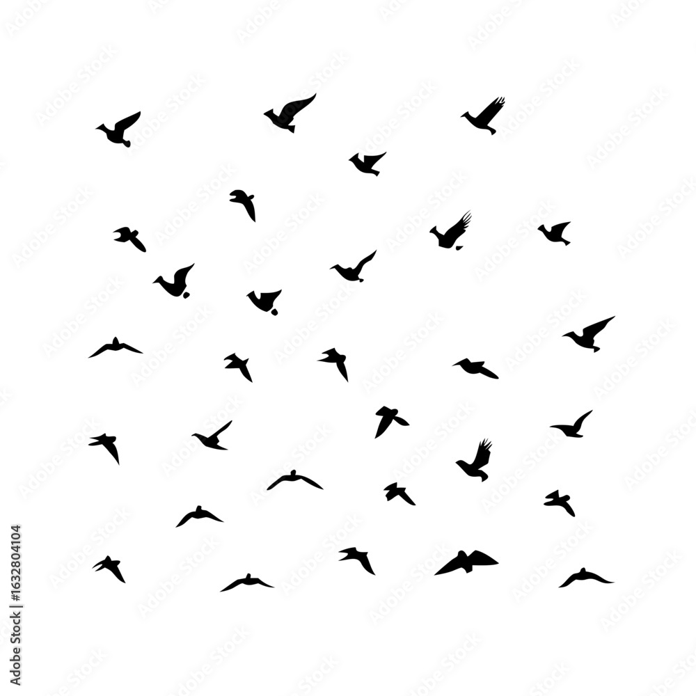 Naklejka premium 25 Birds: Nature's Colorful Avian Wonders