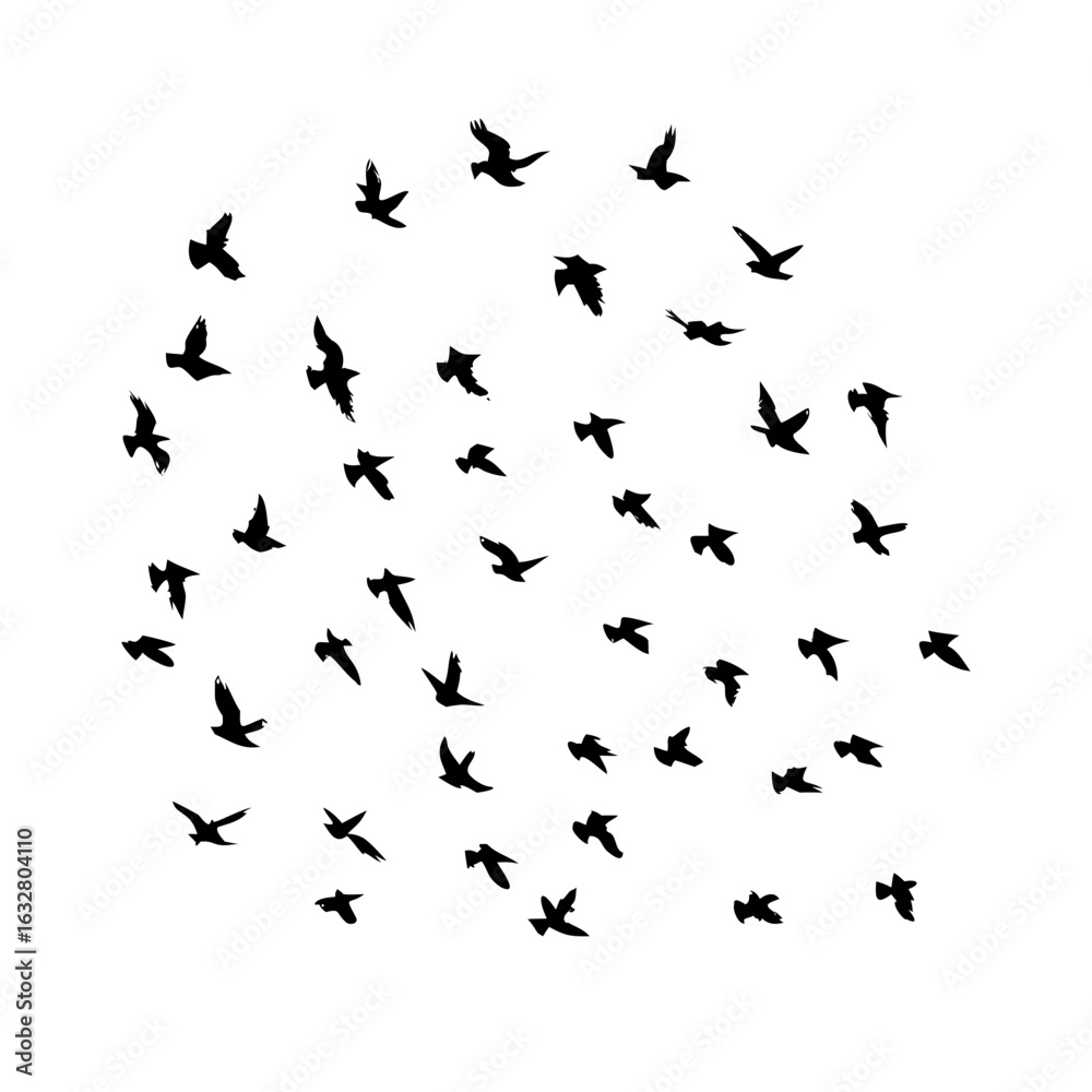 Obraz premium 25 Birds: Nature's Colorful Avian Wonders