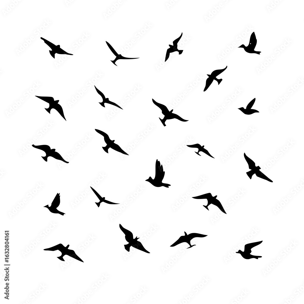 Fototapeta premium 25 Birds: Nature's Colorful Avian Wonders&nbsp;