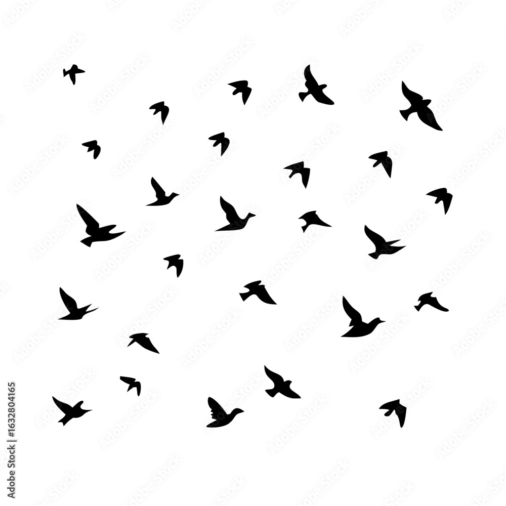 25 Birds: Nature's Colorful Avian Wonders 25 Birds: Nature's Colorful Avian Wonders