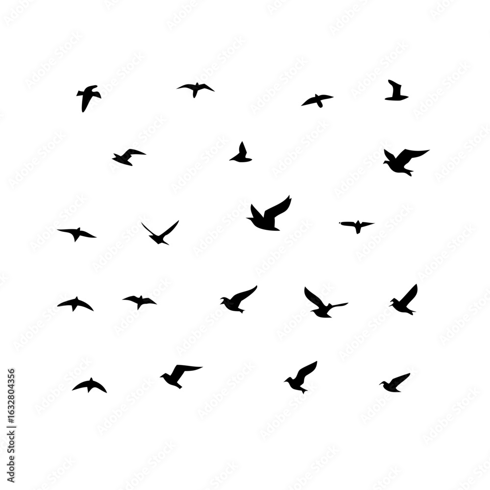 Naklejka premium 25 Birds: Nature's Colorful Avian Wonders