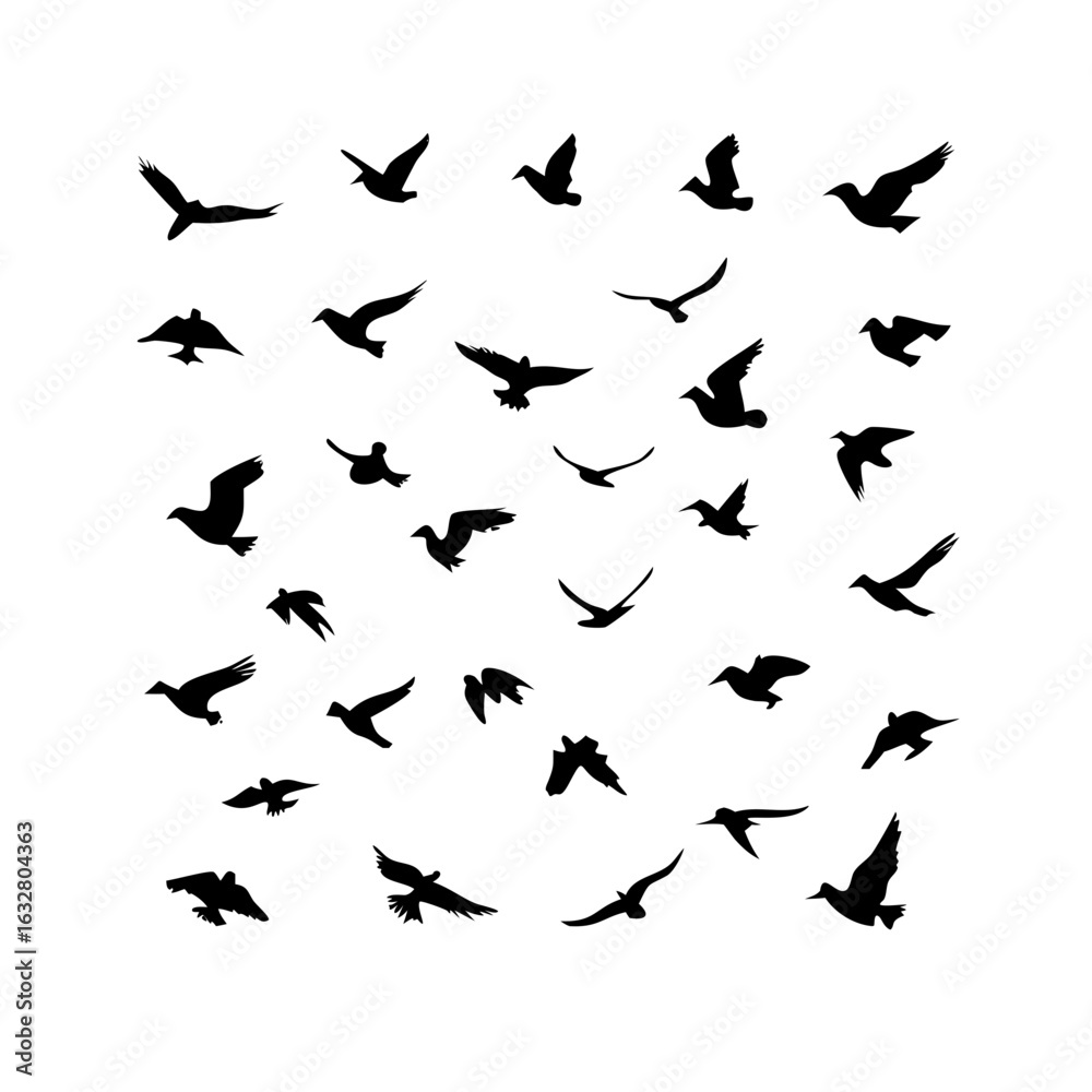 Fototapeta premium 25 Birds: Nature's Colorful Avian Wonders