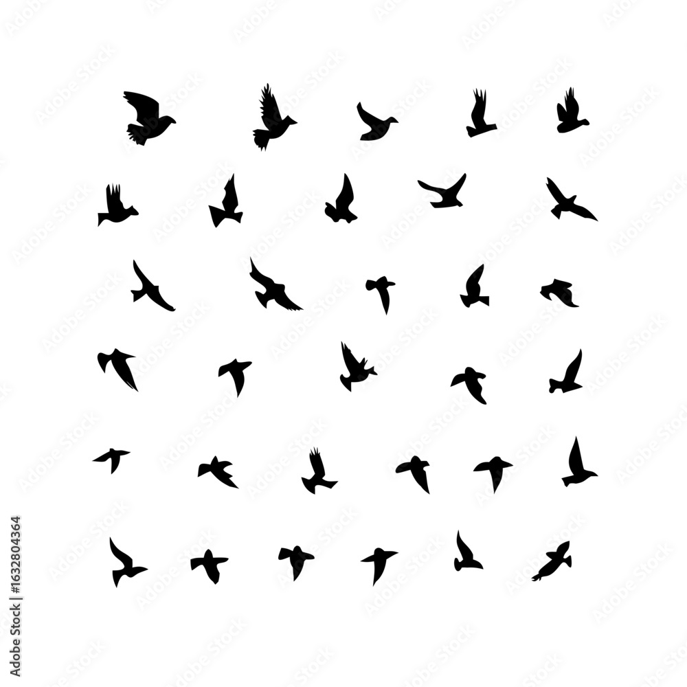 Naklejka premium 25 Birds: Nature's Colorful Avian Wonders