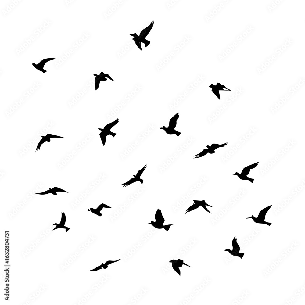 Naklejka premium 25 Birds: Nature's Colorful Avian Wonders