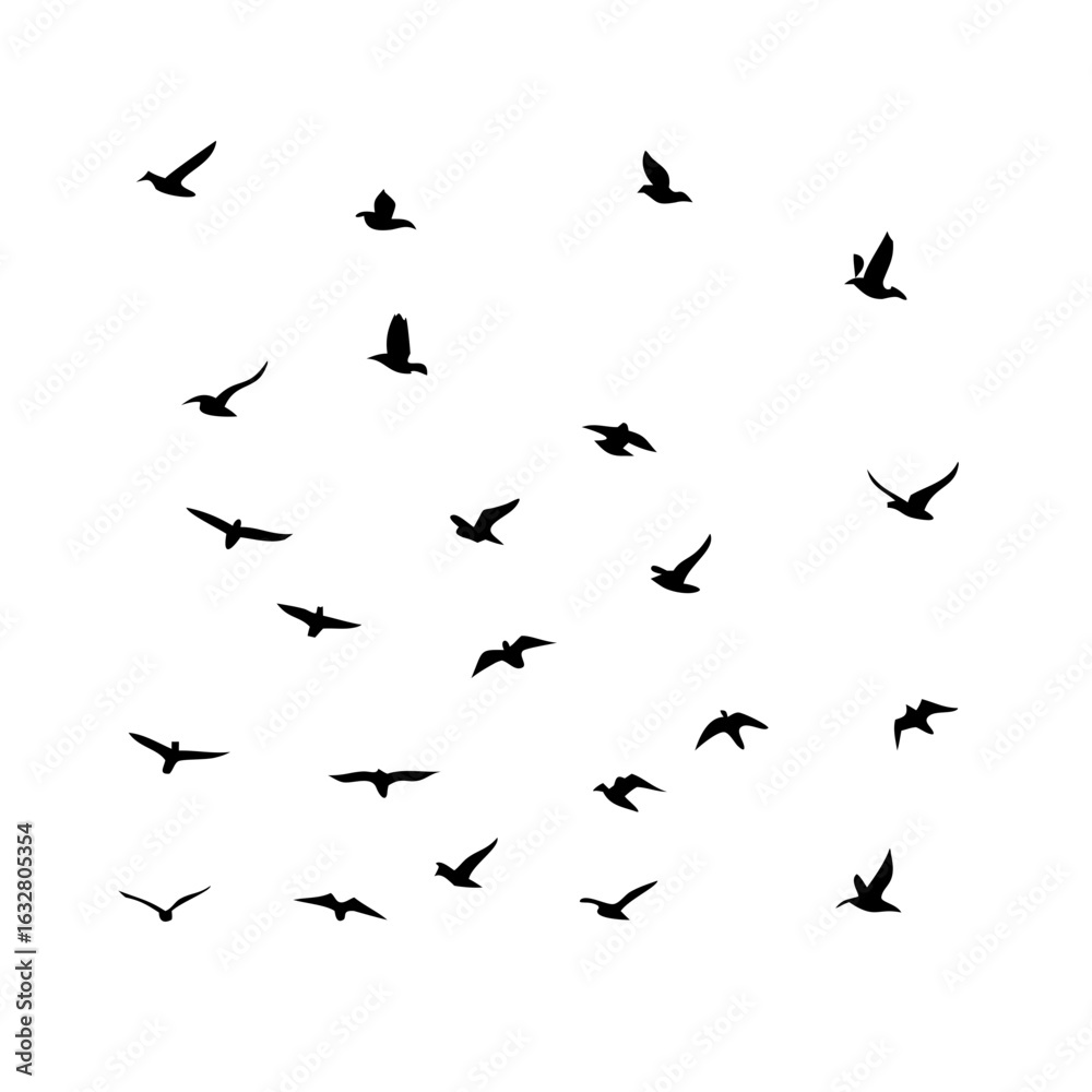 25 Birds: Nature's Colorful Avian Wonders 25 Birds: Nature's Colorful Avian Wonders