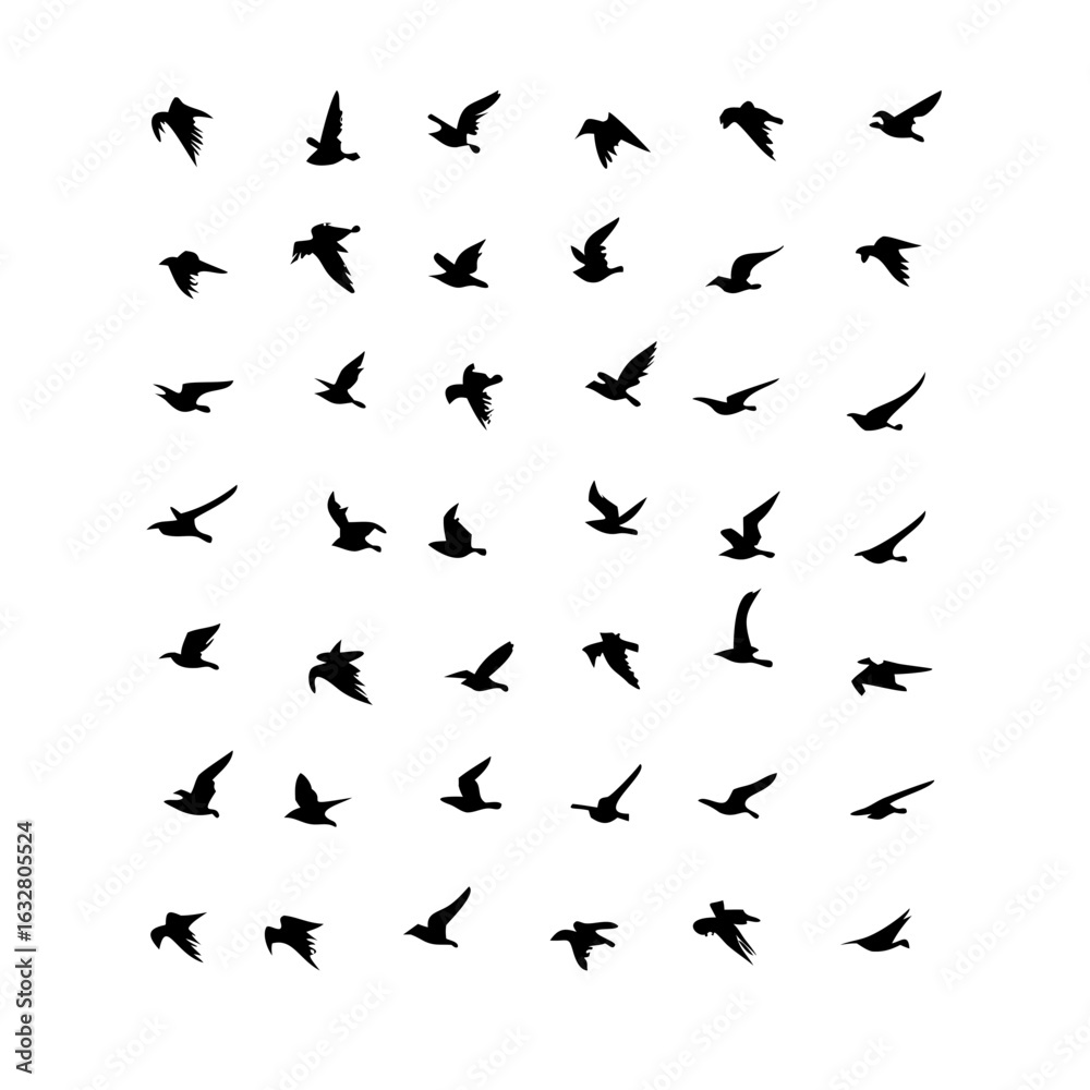 Naklejka premium 25 Birds: Nature's Colorful Avian Wonders