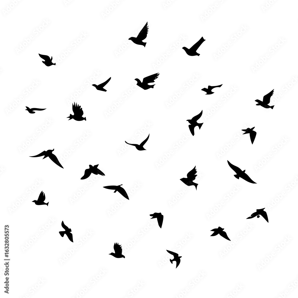 Naklejka premium 25 Birds: Nature's Colorful Avian Wonders