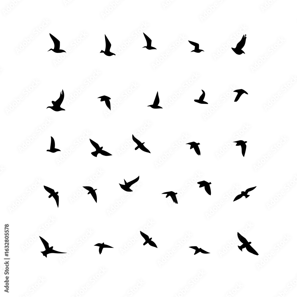 Fototapeta premium 25 Birds: Nature's Colorful Avian Wonders&nbsp;