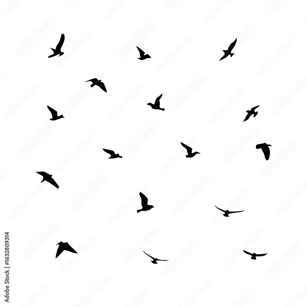 25 Birds: Nature's Colorful Avian Wonders 