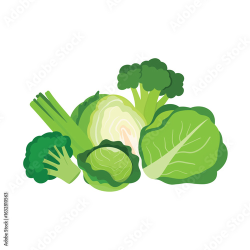 Assortment of fresh green vegetables including broccoli and cabbage