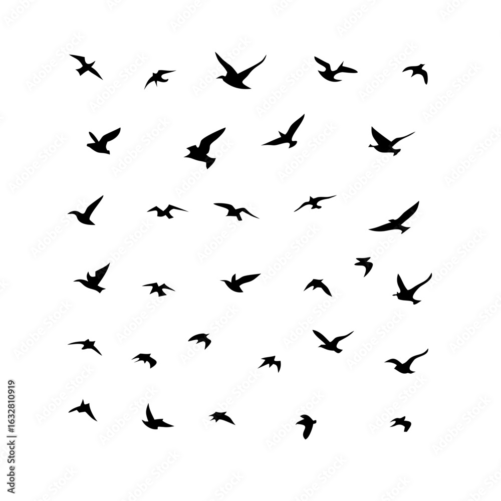 25 Birds: Nature's Colorful Avian Wonders 