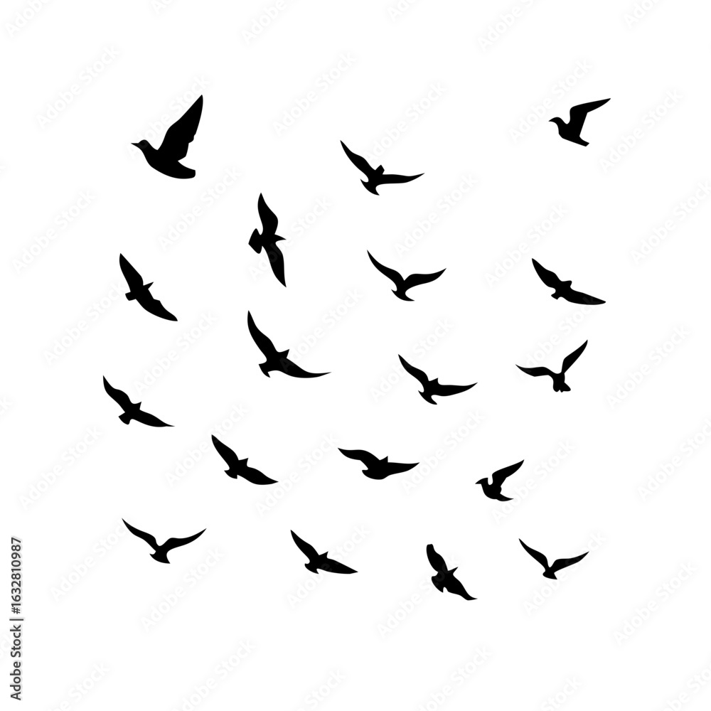 25 Birds: Nature's Colorful Avian Wonders 25 Birds: Nature's Colorful Avian Wonders