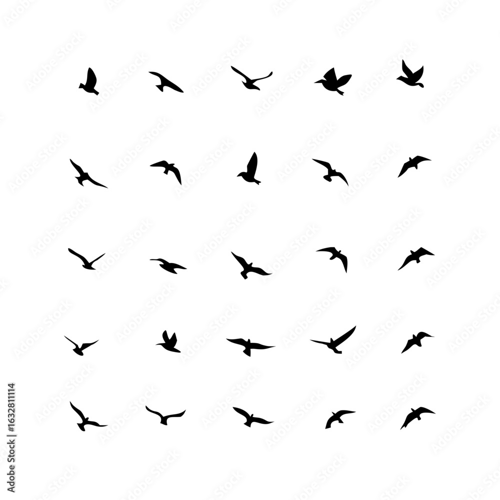 25 Birds: Nature's Colorful Avian Wonders 25 Birds: Nature's Colorful Avian Wonders