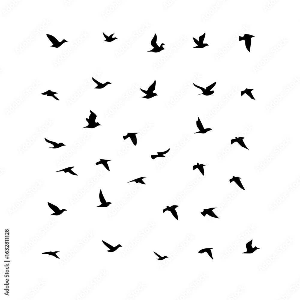 25 Birds: Nature's Colorful Avian Wonders 