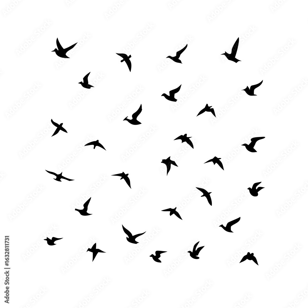 25 Birds: Nature's Colorful Avian Wonders 