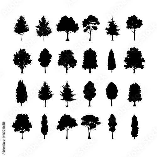 25 Trees: Nature’s Majestic Guardians