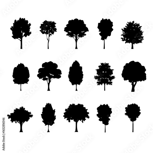 25 Trees: Nature’s Majestic Guardians