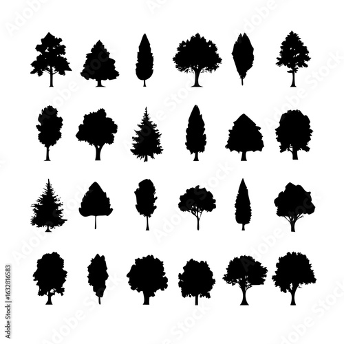 25 Trees: Nature’s Majestic Guardians