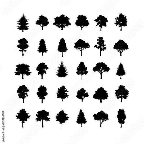 25 Trees: Nature’s Majestic Guardians