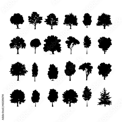 25 Trees: Nature’s Majestic Guardians